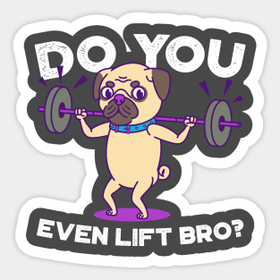 Pug- Do you even lift bro? Sticker